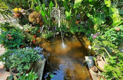 Coconut Grove House | LT PROMO!🐕‍🦺❤💗GROVE HOUSE BIG FENCED YARD Idyllic location-Pets