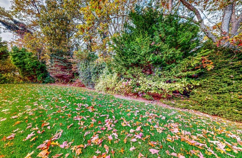 West Falmouth House | Luxurious home steps away from beach w/spacious outdoor living area