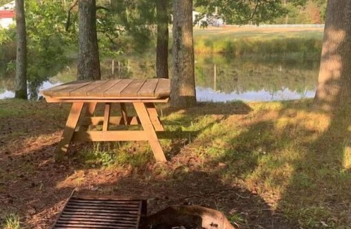 Allen Cabin | Mini Cabin 7 Near Ocean City & Assateague On catch and release fishing lake