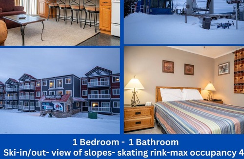 Edray Condo | ML 236|Ski In/Out| Ballhooter view| Free Parking and Wifi