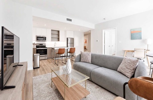 East Cambridge Apartment | Modern Apartment | Gym + Courtyard