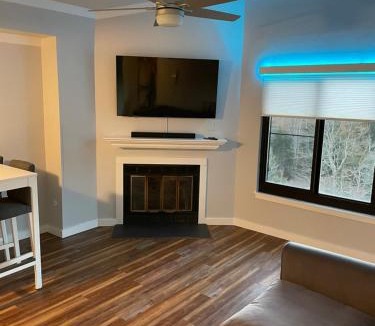 Snowshoe Apartment | Modern Condo with Ski In & Ski Out - Silver Creek Lodge, Snowshoe