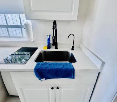 Royal Poinciana Villa | Modern Home - Termpurpedic Queen bed, Laundry, Free Parkging, EV Tesla