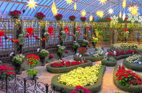 Green Tree Hotel | Near Acrisure Stadium + Free Parking & Restaurant
