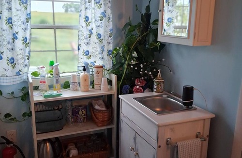 Mount Jackson Cabin | NEW! Cozy Tiny Home Retreat on Shenandoah Valley Farm