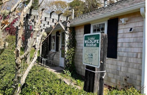 East Falmouth Cottage | NEW! Nature's Nook Peaceful Cottage Close to All