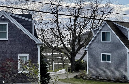 South Chatham House | Newly Remodeled Seaside Getaway with Forest Beach in your backyard!
