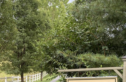 Reva House | Nonesuch : Private loft apartment attached to main house 50acres and 4acre pond