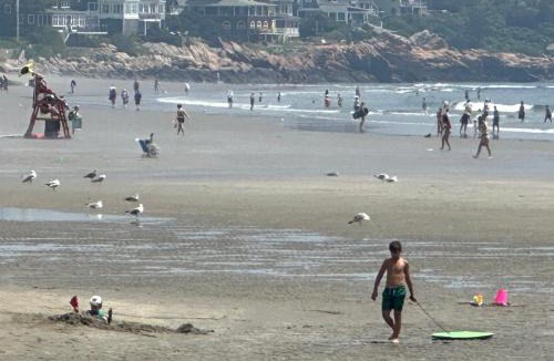 Gloucester Apartment | Ocean Breeze-8min Walk to Beach