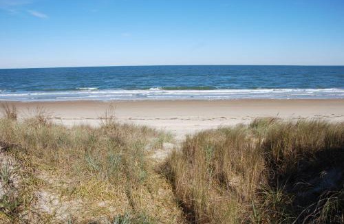 Cottage Line House | Old Time Beach Front Cottage - The Beach is your Backyard! Pet Friendly cottage