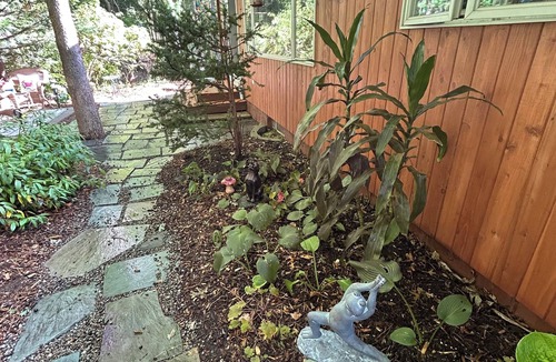 East Falmouth Apartment | Open all year! Relaxation & privacy at this cozy 1 bedroom 1 bath studio.