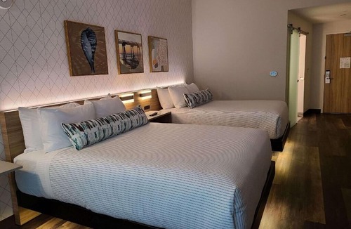 Lauderdale Beach Hotel | Outdoor Getaway! Three Comfy Units Near Beach and Attraction