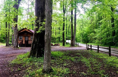 Mingo House | Outstanding Wooden Cabin Close to Hiking Trails in Monterville, West Virginia