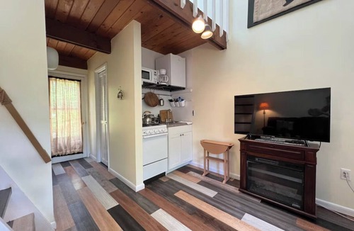 Canaan Valley Condo | PC 25: Davis Condo, Quaint & efficient! A/C