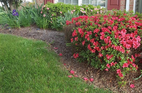 Fredericksburg House | Perfect location for traveling nurses, close to 3 major hospitals