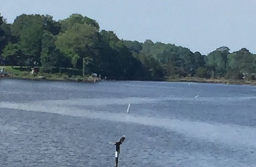 Reedville Apartment | Pet friendly large waterfront three acres of privacy