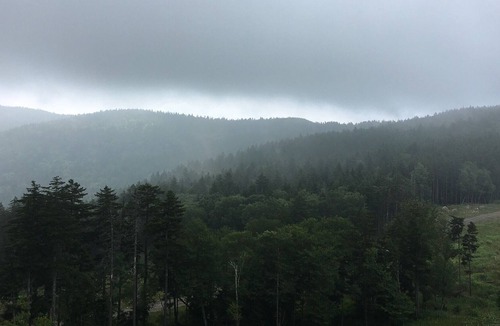 Snowshoe Apartment | Platinum 3 sleeper, Soaring Eagle