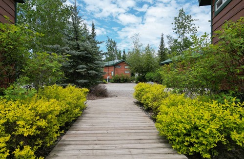 West Glacier Cabin | Ponderosa Pine