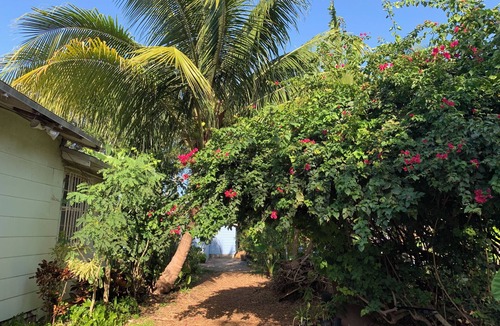 Little Haiti Cottage | Private cottage in Miami