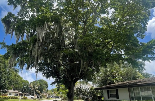 Plantation House | Private pool, family friendly home with playground, BBQ, and spacious backyard.