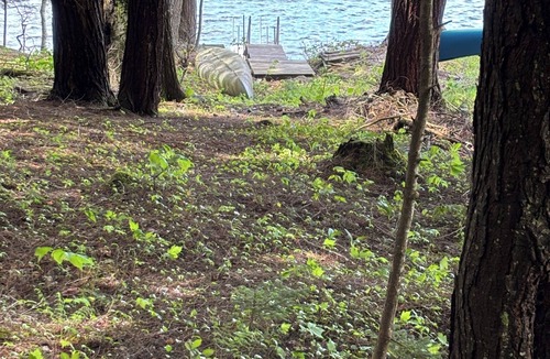 Lake Pleasant Cabin | Quaint 2-bedroom cabin on Oxbow Lake perfect for relaxing lakefront getaways