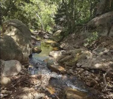 Topanga Ski Chalet | Quaint Cabin with private Trails & Creek