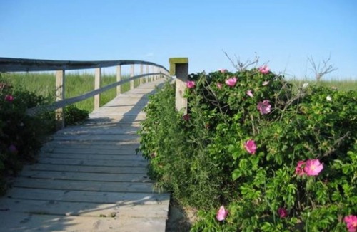 East Sandwich Cottage | Quarterboard 9 - Charming cottage w/deck, across from East Sandwich Beach