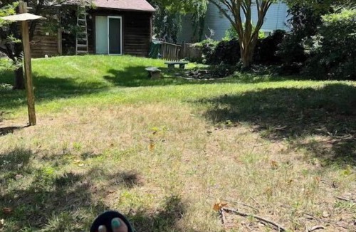 Roanoke House | Quiet home that deer visit