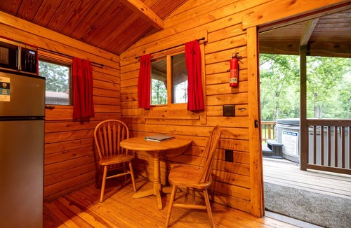 Rileyville Cabin | Quiet retreat on the Shenandoah river near Luray
