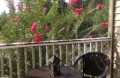 Rehoboth Beach Condo | Reasonable Rates: Beautiful Condo Close to Beach, Restaurants, Shopping & More!