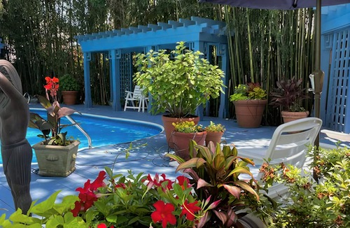 Dodds Addition House | Rehoboth Beach dog friendly house w/private pool & hot tub
