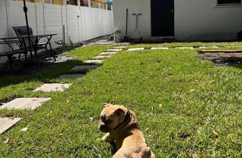 Downtown Fort Lauderdale Apartment | Room near Downtown