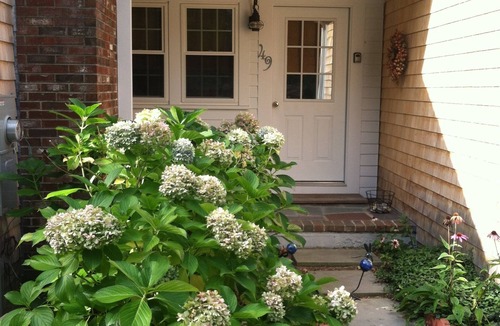 South Orleans House | S.Orleans, Perfect Vacation House to Relax and Unwind