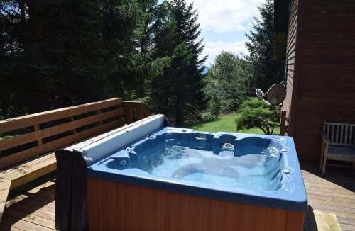 Edray House | S Westridge View Cabin with Hot Tub & Ski-Shuttle