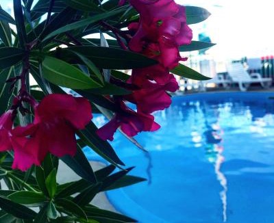 Wildwood Crest Hotel | Sea Scape Inn - A Fine Family Destination