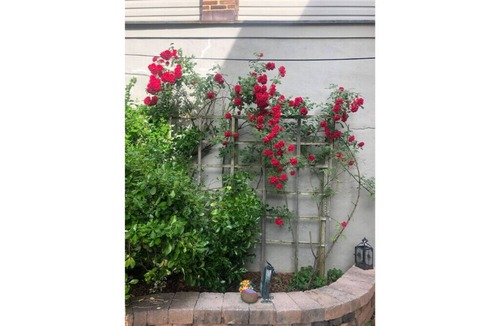 Historic District Cottage | Secluded Cozy Cottage in Historic Downtown