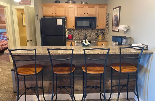 Edray Apartment | Seneca Lodge in Snowshoe Village - Steps to Ski Slopes