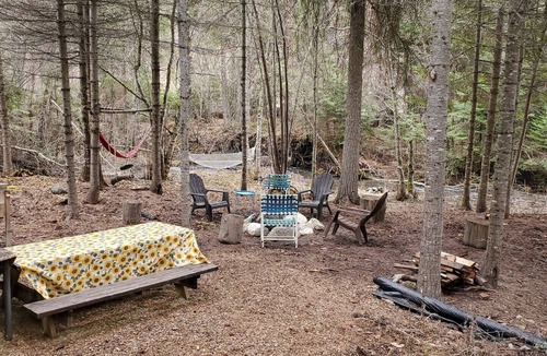 Lakeside Cabin | Serene Woodside Cabin: Modern Amenities in Nature