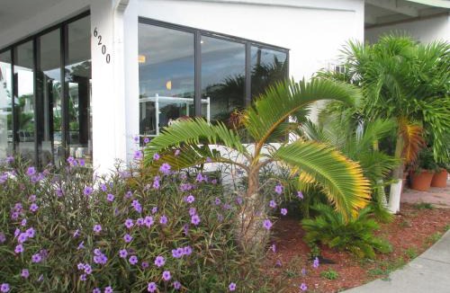 Northeast Miami Hotel | Shalimar Motel
