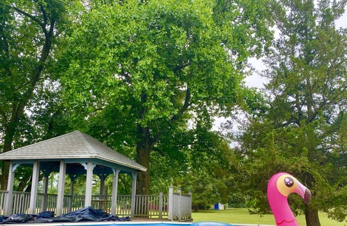 Allen Other | Spacious, farmhouse, with pool, 10 min from Salisbury and 35 min from beaches