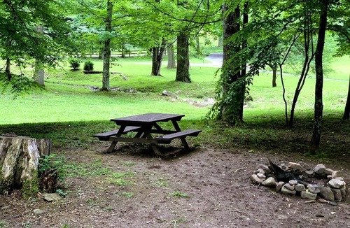 Mingo House | Spectacular Wooden Cabin Close to Great Hiking Trails in Monterville, West Virginia