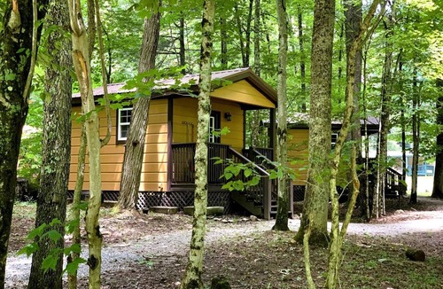 Mingo House | Spectacular Wooden Cabin Close to Great Hiking Trails in Monterville, West Virginia