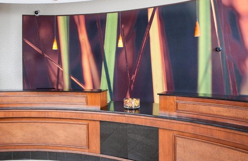 Norfolk Hotel | SpringHill Suites by Marriott Norfolk Virginia Beach
