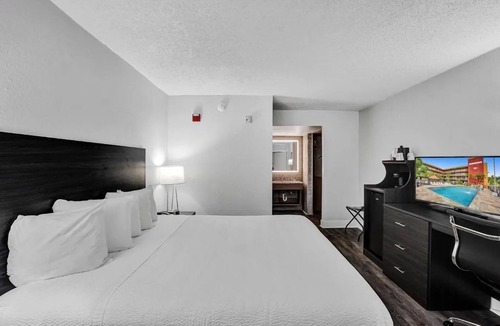 Downtown Hollywood Hotel | Stylish Florida Room Near Downtown Hollywood w/Pool and Free Breakfast