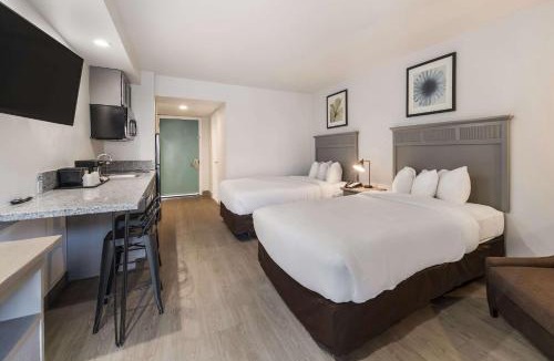 Williamsburg Hotel | Suburban Studios Williamsburg Central