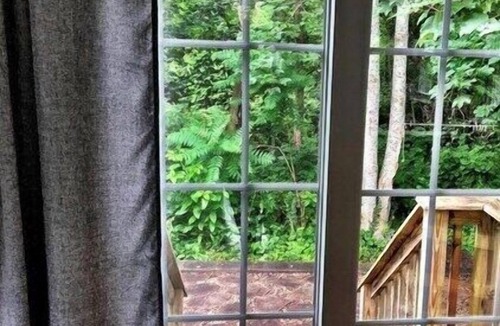 Brewster Cottage | "Sunrise Cottage" Brewster - 1 Bed Cottage, Perfect for a Cozy Getaway! (CapeCodProperty 121)