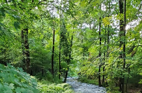 Kerhonkson RV Rental | Tentrr Signature Site - Sundown for swimming, hiking, and a peaceful, easy feeli
