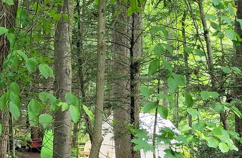 Tower City RV Rental | Tentrr Signature Site - Mountain Laurel Retreat