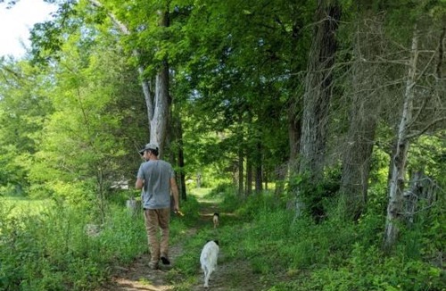 Walden Other | Tentrr Signature Site - Pastoral Paradise on 42-Acre Farm Close to NYC