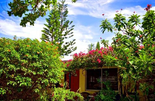 North Beach Apartment | The Desoto - Oceanview Inn